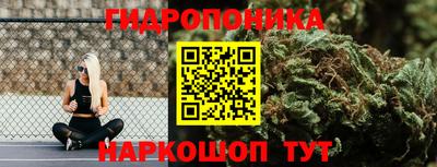 гидра Жуковский