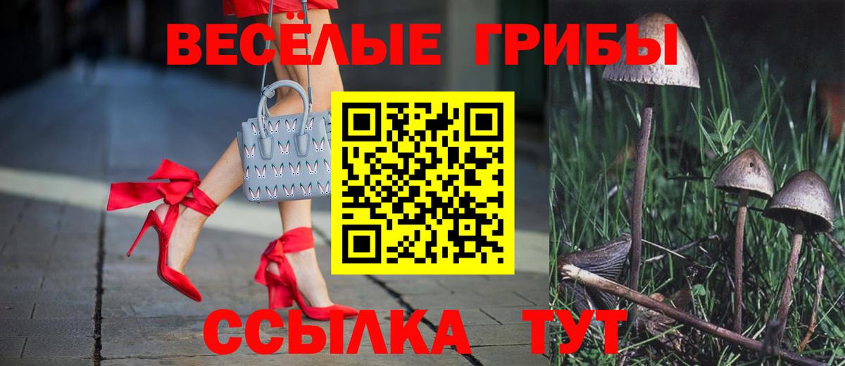 Людиново  Псилоцибиновые грибы Cubensis  Вход с VPN  Галлюциногенные грибы Psilocybine cubensis 